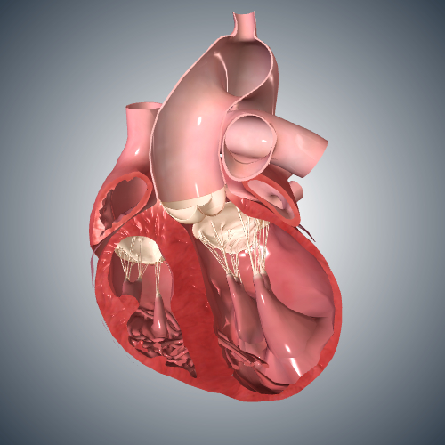 Congestive Heart Failure