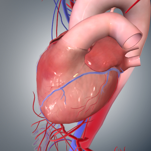 Coronary Artery Disease