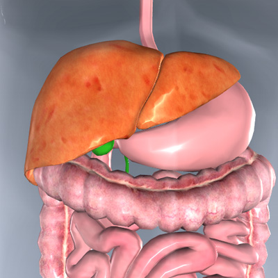 Hepatitis B