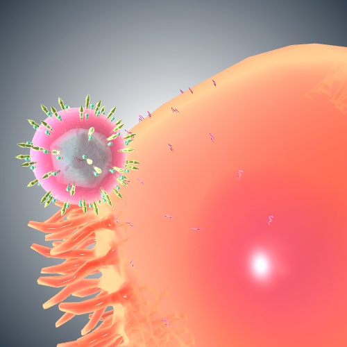 Hepatitis C virus