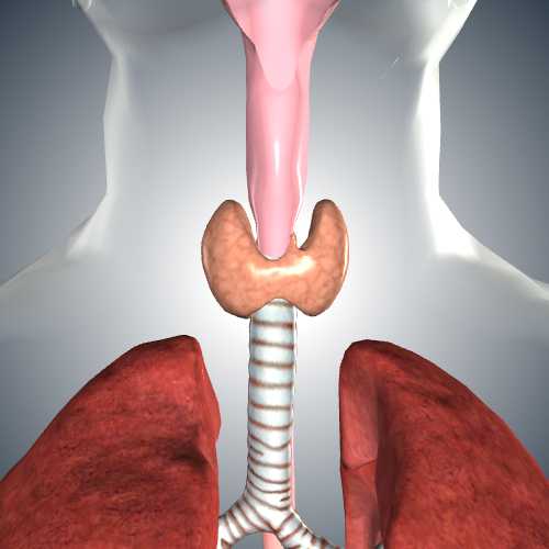 Hypothyroidism