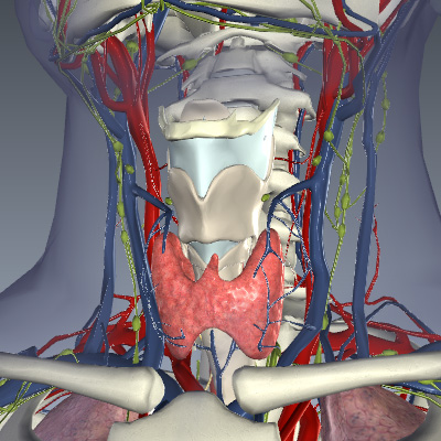 Thyroid Cancer Stage M1