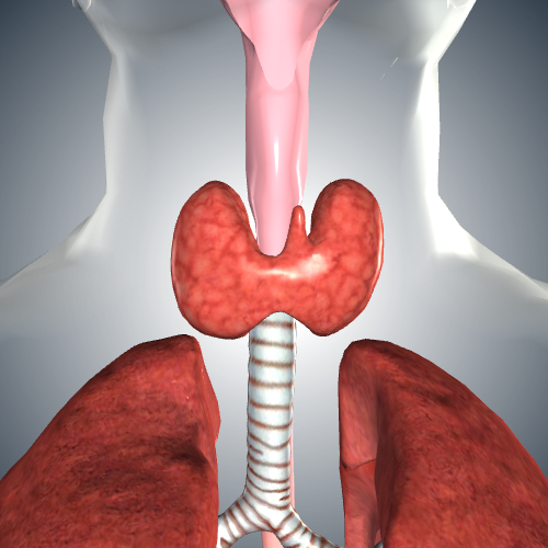 Hyperthyroidism