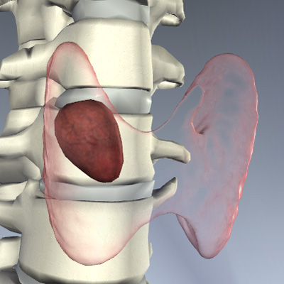 Thyroid Diseases