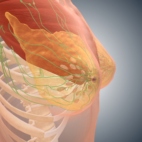 Breast Cancer: Stage I