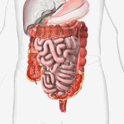 Crohn’s Disease Thumbnail